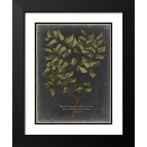Foliage Dramatique V Black Modern Wood Framed Art Print with Double Matting by Vision Studio