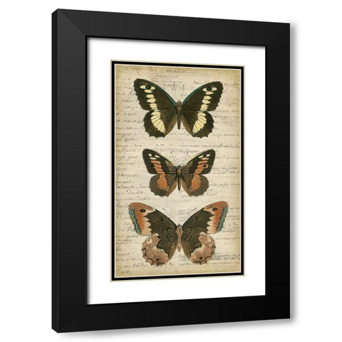 Butterfly Script I Black Modern Wood Framed Art Print with Double Matting by Vision Studio