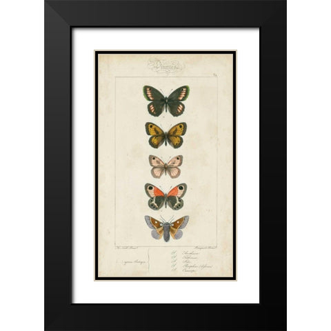 Pauquet Butterflies VI Black Modern Wood Framed Art Print with Double Matting by Pauquet