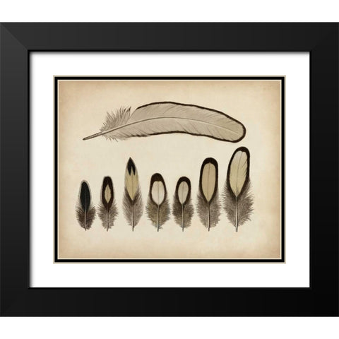 Vintage Feathers IX Black Modern Wood Framed Art Print with Double Matting by Unknown