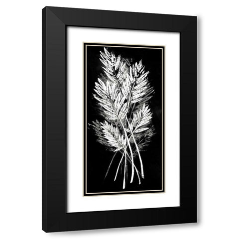 Palm Leaf Fresco II Black Modern Wood Framed Art Print with Double Matting by Vision Studio