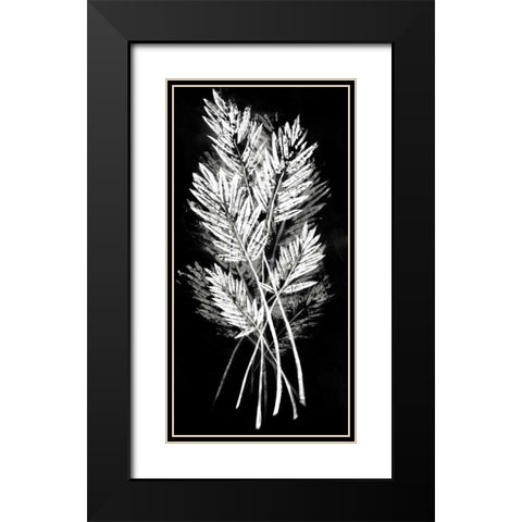 Palm Leaf Fresco II Black Modern Wood Framed Art Print with Double Matting by Vision Studio