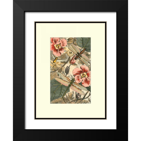 Dancing Dragonfly II Black Modern Wood Framed Art Print with Double Matting by Unknown
