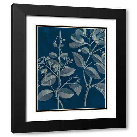Modern Botany I Black Modern Wood Framed Art Print with Double Matting by Vision Studio
