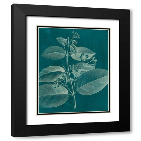 Modern Botany II Black Modern Wood Framed Art Print with Double Matting by Vision Studio