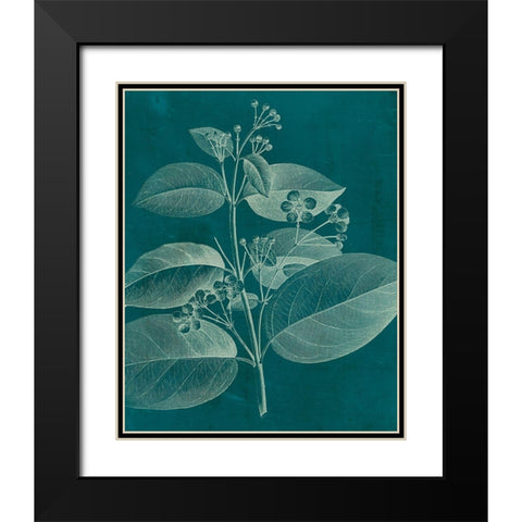 Modern Botany II Black Modern Wood Framed Art Print with Double Matting by Vision Studio