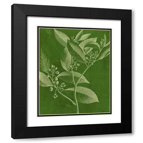 Modern Botany IV Black Modern Wood Framed Art Print with Double Matting by Vision Studio