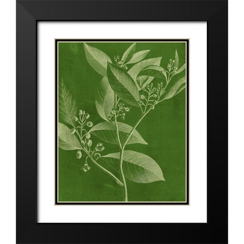Modern Botany IV Black Modern Wood Framed Art Print with Double Matting by Vision Studio
