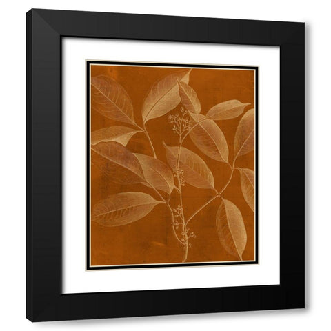 Modern Botany VI Black Modern Wood Framed Art Print with Double Matting by Vision Studio