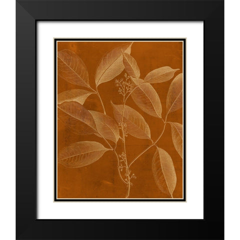 Modern Botany VI Black Modern Wood Framed Art Print with Double Matting by Vision Studio