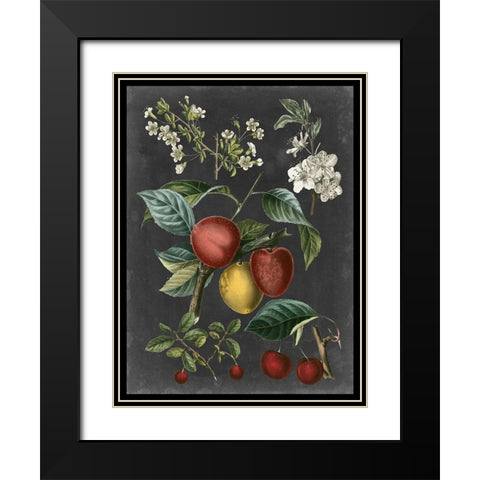 Orchard Varieties III Black Modern Wood Framed Art Print with Double Matting by Vision Studio