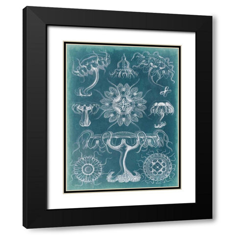 Sealife Blueprint III Black Modern Wood Framed Art Print with Double Matting by Vision Studio
