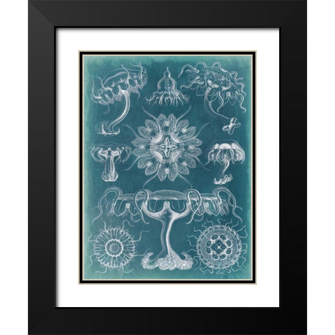 Sealife Blueprint III Black Modern Wood Framed Art Print with Double Matting by Vision Studio