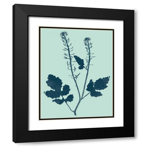 Indigo and Mint Botanical Study I Black Modern Wood Framed Art Print with Double Matting by Vision Studio