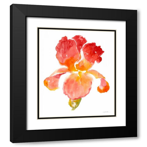 Sunset Blooms I Black Modern Wood Framed Art Print with Double Matting by OToole, Tim