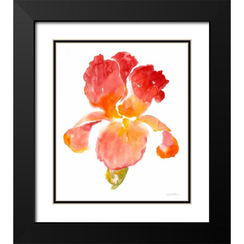 Sunset Blooms I Black Modern Wood Framed Art Print with Double Matting by OToole, Tim