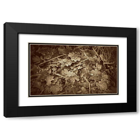 Autumn Leaves Black Modern Wood Framed Art Print with Double Matting by Bell, Lillian