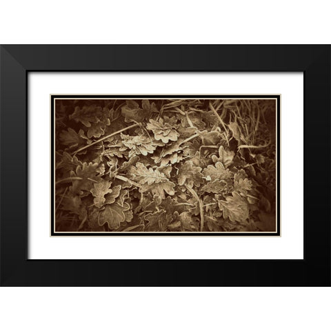 Autumn Leaves Black Modern Wood Framed Art Print with Double Matting by Bell, Lillian