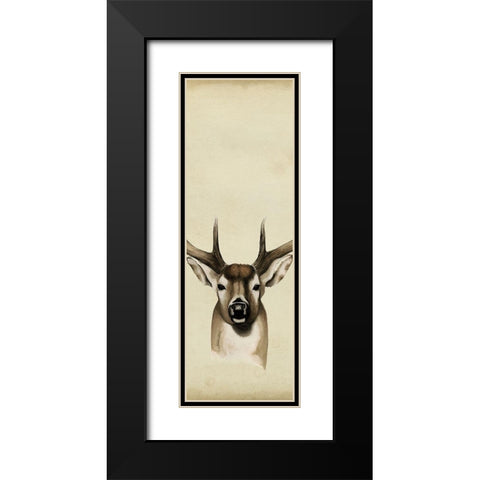Triptych Whitetail II Black Modern Wood Framed Art Print with Double Matting by Popp, Grace