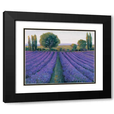 Lavender Field II Black Modern Wood Framed Art Print with Double Matting by OToole, Tim