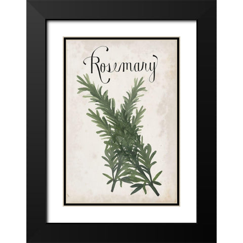 Herb Collection D Black Modern Wood Framed Art Print with Double Matting by Popp, Grace