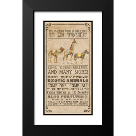 Vintage Circus Collection B Black Modern Wood Framed Art Print with Double Matting by Popp, Grace