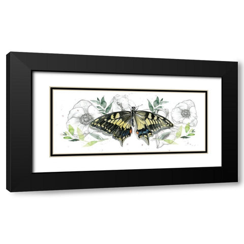 Watercolor Butterfly Collection D Black Modern Wood Framed Art Print with Double Matting by Parker, Jennifer Paxton