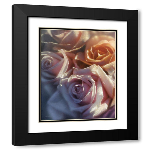 Rose Pedals Black Modern Wood Framed Art Print with Double Matting by Bogle, Collin