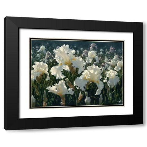 White Rose Garden Black Modern Wood Framed Art Print with Double Matting by Bogle, Collin