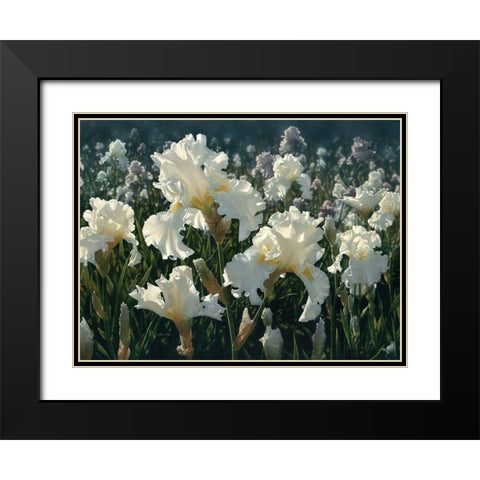 White Rose Garden Black Modern Wood Framed Art Print with Double Matting by Bogle, Collin