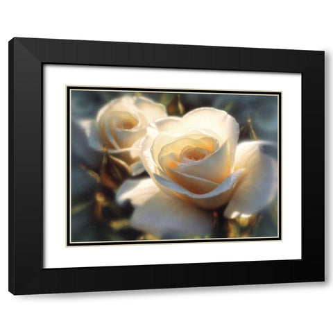 White Roses - Colors of White Black Modern Wood Framed Art Print with Double Matting by Bogle, Collin