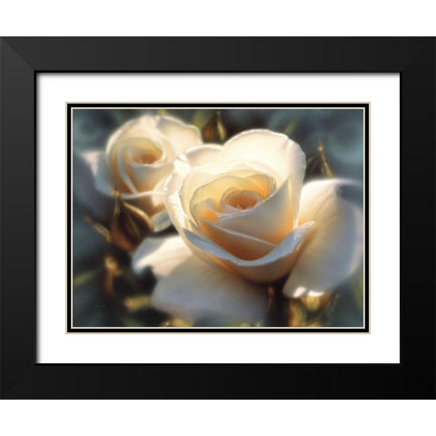 White Roses - Colors of White Black Modern Wood Framed Art Print with Double Matting by Bogle, Collin