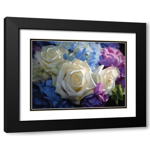 White Roses - Dancing Light Black Modern Wood Framed Art Print with Double Matting by Bogle, Collin
