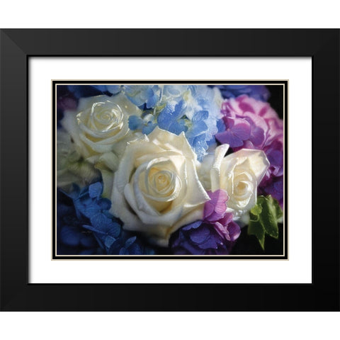 White Roses - Dancing Light Black Modern Wood Framed Art Print with Double Matting by Bogle, Collin