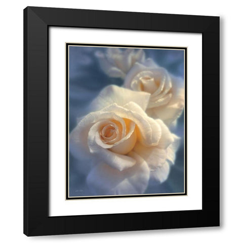 White Roses - Unforgettable Black Modern Wood Framed Art Print with Double Matting by Bogle, Collin
