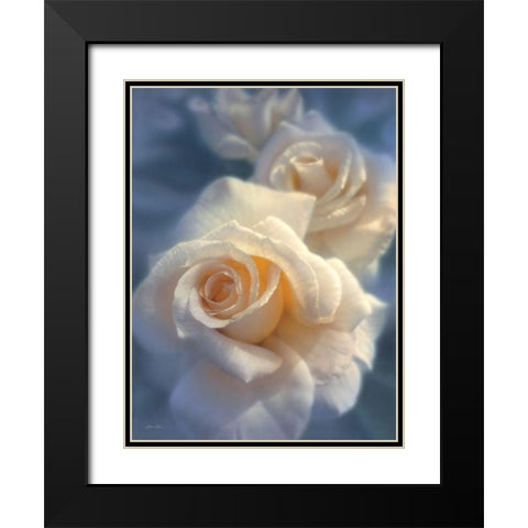 White Roses - Unforgettable Black Modern Wood Framed Art Print with Double Matting by Bogle, Collin