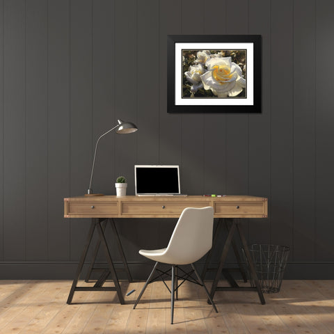 White Roses Black Modern Wood Framed Art Print with Double Matting by Bogle, Collin