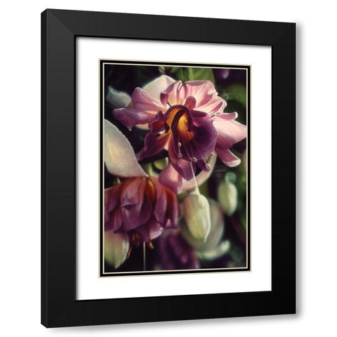 Fuchsia Black Modern Wood Framed Art Print with Double Matting by Bogle, Collin