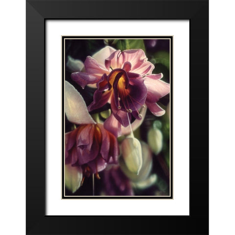 Fuchsia Black Modern Wood Framed Art Print with Double Matting by Bogle, Collin