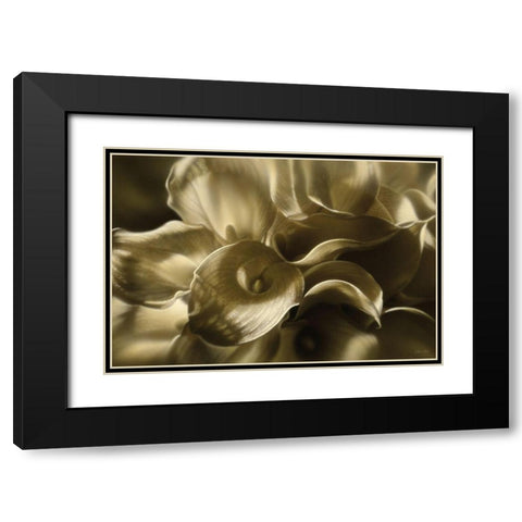 Golden Lilies Black Modern Wood Framed Art Print with Double Matting by Bogle, Collin