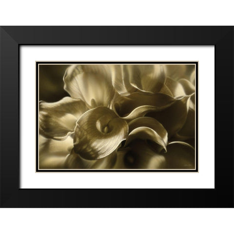 Golden Lilies Black Modern Wood Framed Art Print with Double Matting by Bogle, Collin