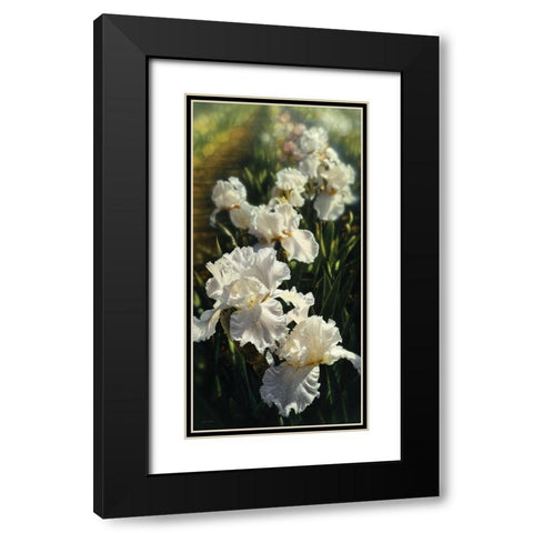 Iris Garden Black Modern Wood Framed Art Print with Double Matting by Bogle, Collin