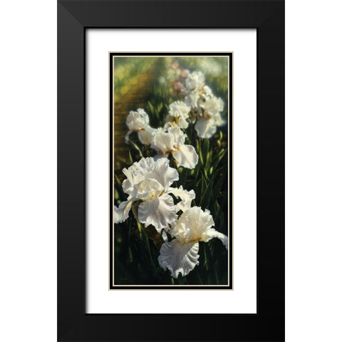 Iris Garden Black Modern Wood Framed Art Print with Double Matting by Bogle, Collin