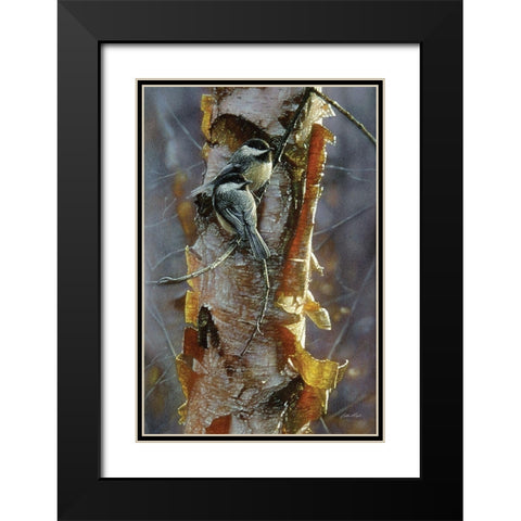 Black-Capped Chickadees - Sunlit Birch Black Modern Wood Framed Art Print with Double Matting by Bogle, Collin