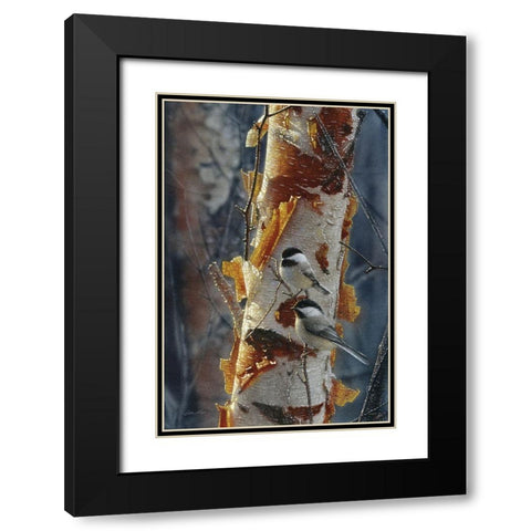 Black-Capped Chickadees - Sunlit Birch II Black Modern Wood Framed Art Print with Double Matting by Bogle, Collin