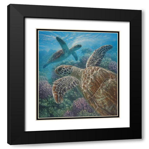 Sea Turtles - Turtle Bay Black Modern Wood Framed Art Print with Double Matting by Bogle, Collin