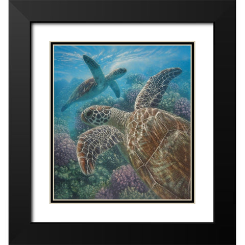 Sea Turtles - Turtle Bay Black Modern Wood Framed Art Print with Double Matting by Bogle, Collin