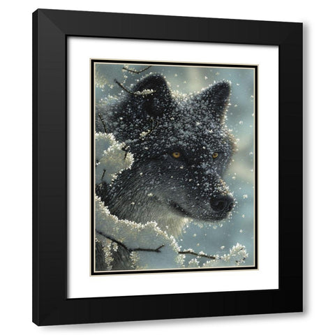 Black Wolf - Black in White Black Modern Wood Framed Art Print with Double Matting by Bogle, Collin