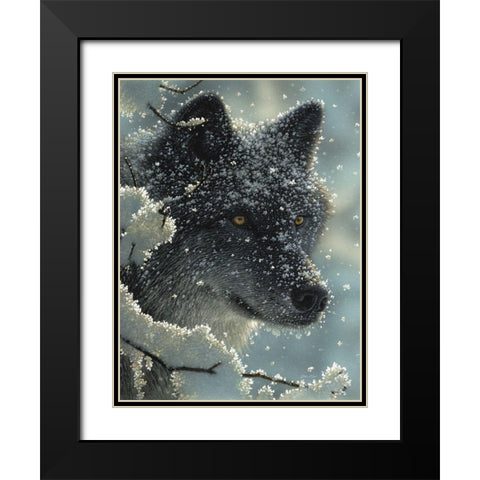 Black Wolf - Black in White Black Modern Wood Framed Art Print with Double Matting by Bogle, Collin
