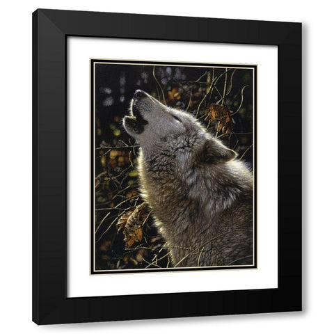 Howling Wolf - Songs of Autumn Black Modern Wood Framed Art Print with Double Matting by Bogle, Collin